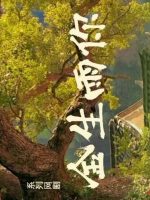 The Gold Behind the Stone (2025)