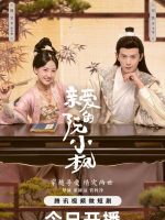 Ruan Xiaofengs Royal Love Quest (2025)