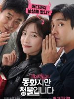 Forbidden Fairytale (2025) Forbidden Fairytale (2025)