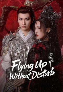Flying Up Without Disturb (2025)