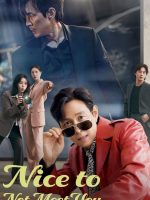 Nice to Not Meet You (2025)