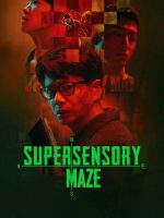 Supersensory Maze (2025)