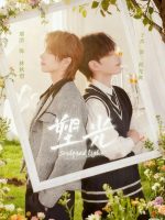 Sculpted Light (2025)